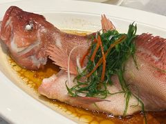 -79号渔船海鲜饭店(宝安店)