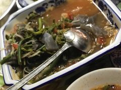 水蕨菜-杨二傣香园