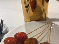 -羲和雅苑•北京烤鸭(国贸商城店)
