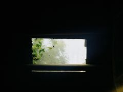 -植觉