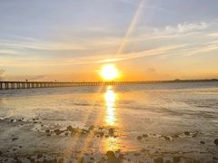 -宝安西湾红树林湿地公园