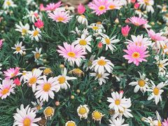 -三利音·浦之舟(滨江大道店)