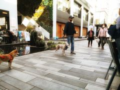 -Luneurs(幸福里店)