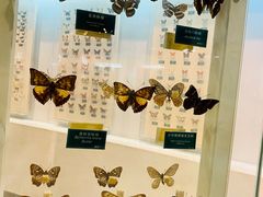 -陕西自然博物馆