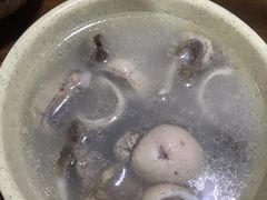 加羊宝-褚氏岛城一汤(闽江路店)