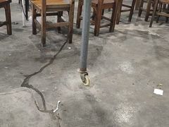 -章记正宗南岗鱼蛋火锅