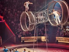 -俄罗斯国家大马戏团