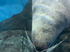 -上海海洋水族馆