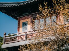 -乌镇景区