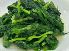 白酒有机豆苗-瑞福园联谊餐室(茂名南路店)