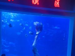 -太平洋海底世界