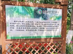 -御林古桑园