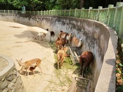 -西安秦岭野生动物园