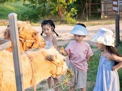 -日照海滨国家森林公园