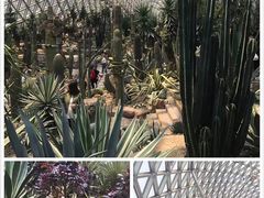 -上海辰山植物园