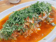 -老字号怡玺·藿香雅鱼(20年雅安店)