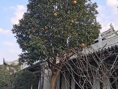 -上海皇廷花园酒店·西餐厅·自助餐
