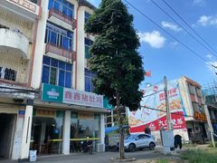 -15年老字号鑫鑫猪肚鸡·椰子鸡海南火锅(兴隆华侨农场店)