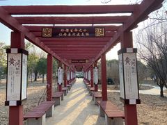 -花园口旅游区