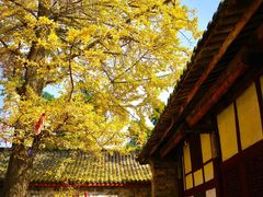 -金堂县云顶石城风景区