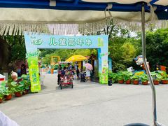 -上海海湾国家森林公园