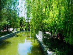 景点-芜湖方特东方神画