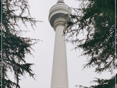 -龟山风景区-龟山电视塔
