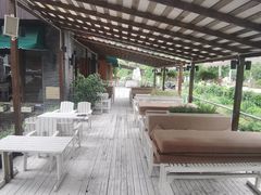 -Local泰莲庭(虹鳟鱼店)