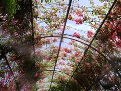 -The Grounds of Alexandria