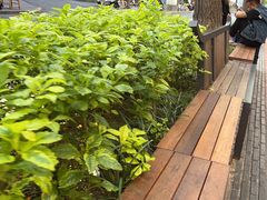 -罗妈砂锅(四川成都奎星楼店)