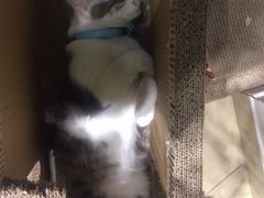 -小时光咖啡馆(开森度假森林店)