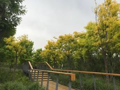 -东郊湿地公园