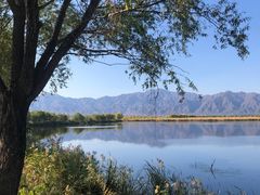 -野鸭湖国家湿地公园