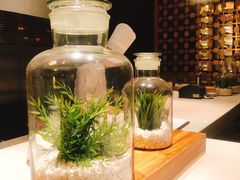 -沈阳君悦酒店·意坊意大利餐厅