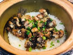 -红星光发煲仔饭(文海店)