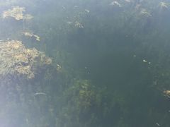 -眉山湿地公园(东坡区)