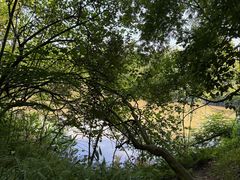 -桤木河湿地公园