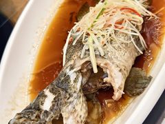 -东方明珠老上海8号餐厅