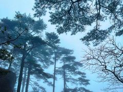 -黄山风景区