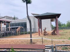 -石家庄市动物园