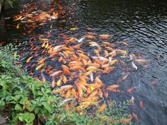 照片&nbsp;078-沈阳植物园