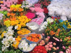 -双季花艺园艺市场(浦东店)