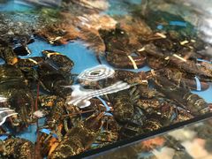 -马王堆海鲜水产市场