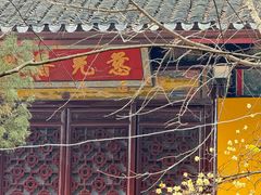 -西园戒幢律寺