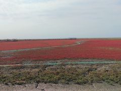 -桃源新村双台子店