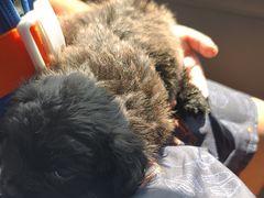 -安吉龙王山峡谷漂流