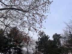 -日照灯塔风景区