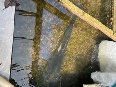 -途中饭店(开化店)