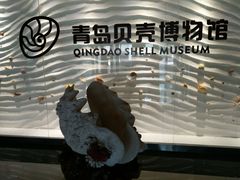 -青岛贝壳博物馆