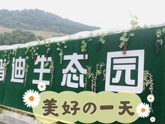 -普迪生态园